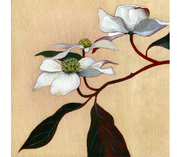 "Dogwood" by Kristen Etmund